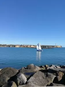 Sem Titulo1