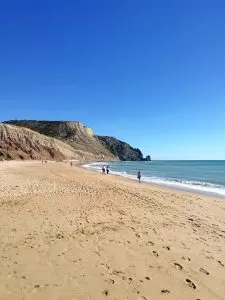 Sem Titulo9
